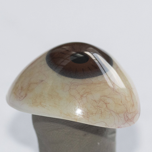 66589386.png 202503105151.png